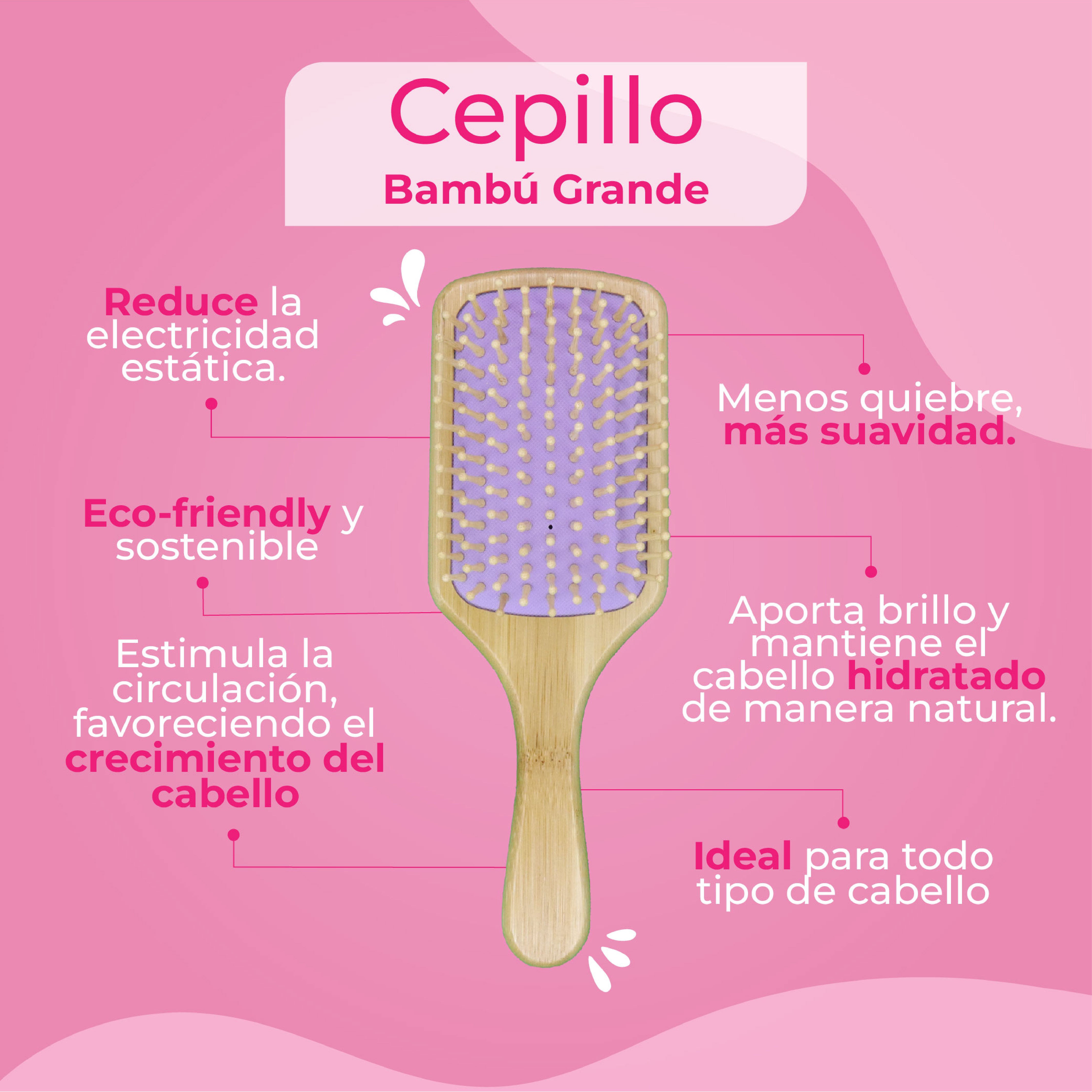 🍃 Cepillo de Bambú Shaini Grande