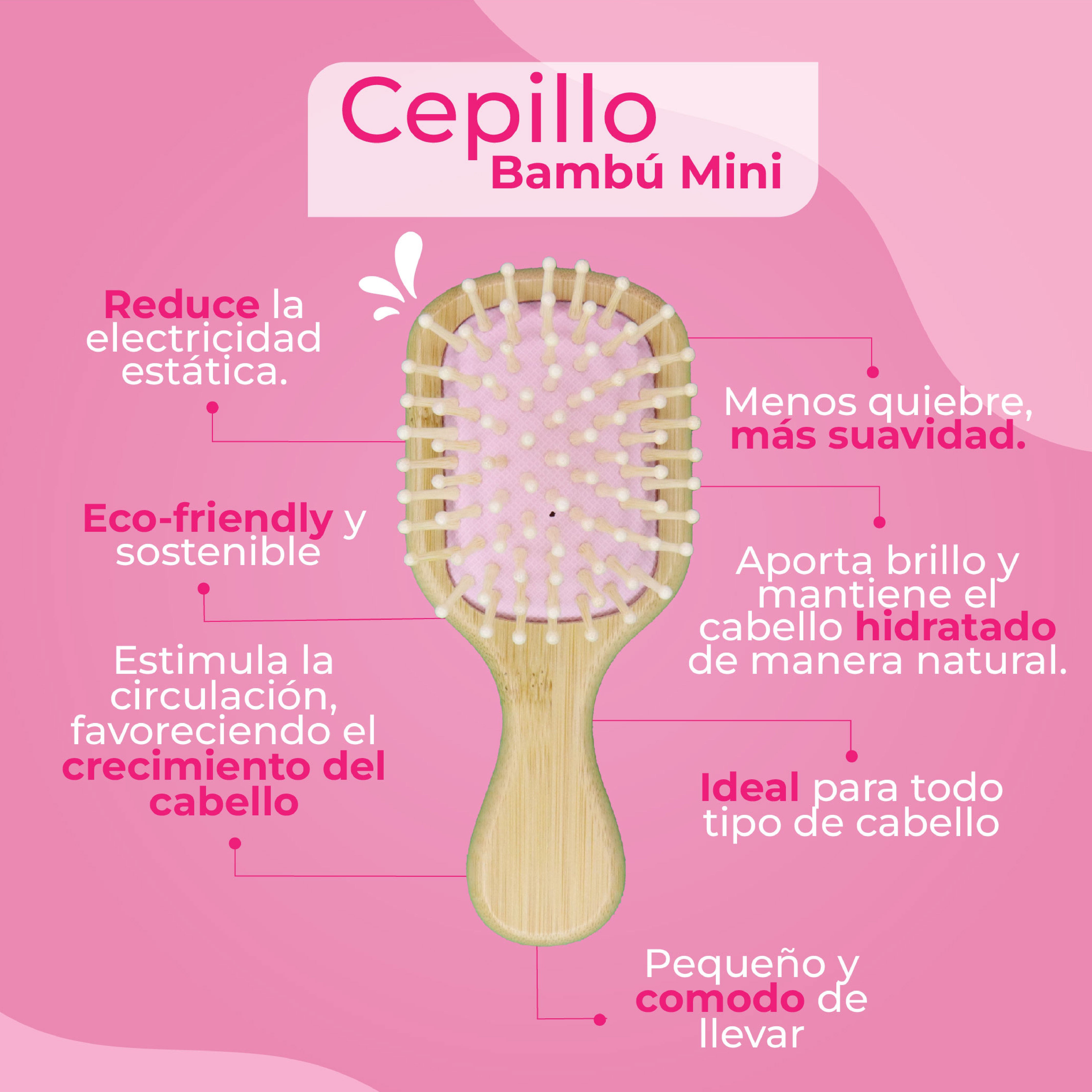 🍃 Cepillo de Bambú Mini
