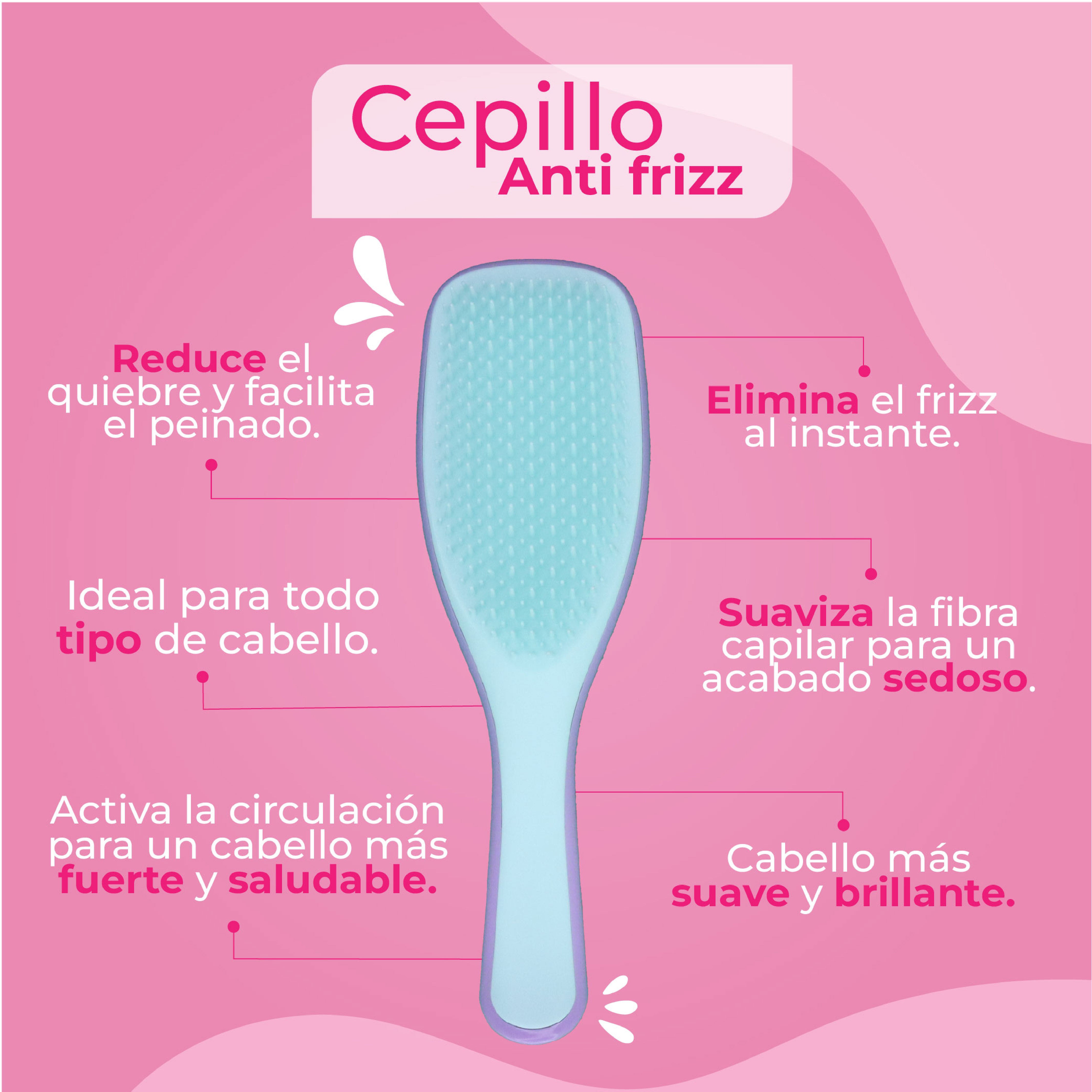 💨 Cepillo Anti Frizz Shaini